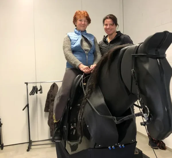 Reitsimulator